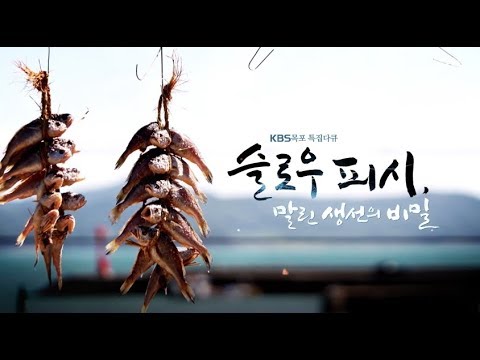 [다큐] 슬로우피쉬, 말린생선의 비밀 by KBS목포