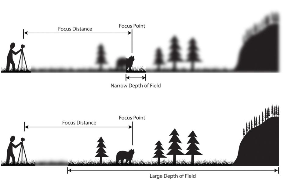 Understanding Depth Of Field - A Beginner'S Guide