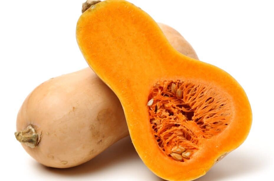 The Benefits And Dangers Of Your Dog Eating Squash - Az Animals