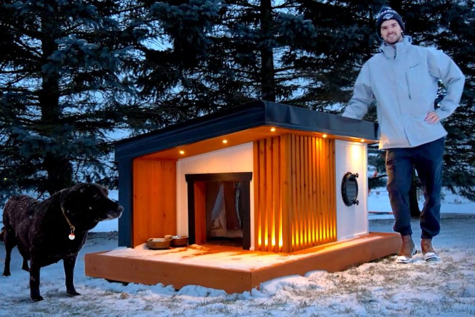 Building A Heated Dog House For Canadian Winters - Youtube