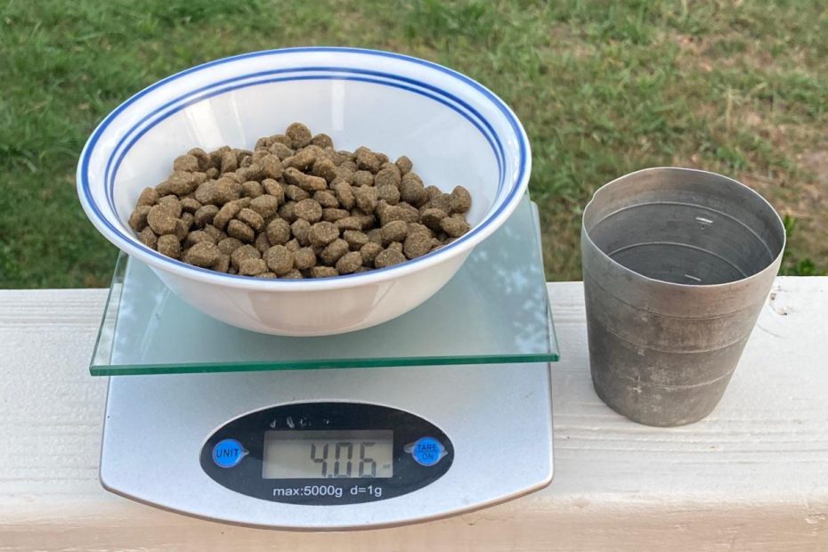 How Much Are You Feeding Your Dog?